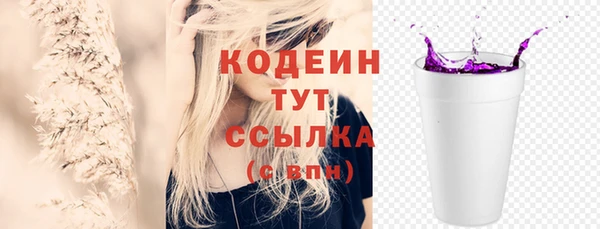 дурь Осташков