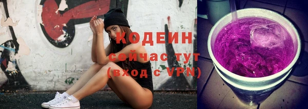 дурь Осташков