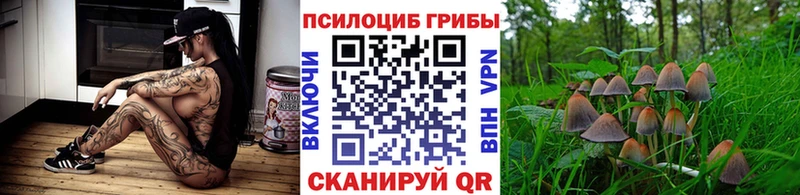 Галлюциногенные грибы MAGIC MUSHROOMS  Калининец 